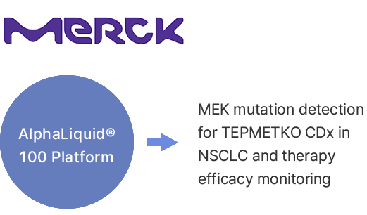 MEK mutation detection for TEPMETKO CDx in NSCLC and therapy efficacy monitoring